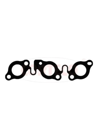 Corteco 460223p 83460223 Manifold Contasi 0349l0 1336543 4r8q9448ab