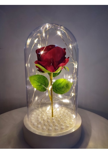 Tek Kırmızı Gül İşıklı Fanus