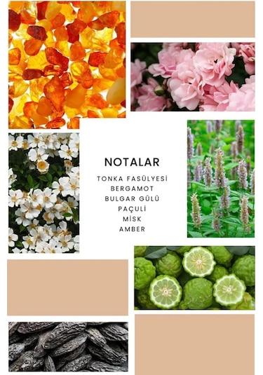 İxora Nora Body Mist Kadın 200 Ml