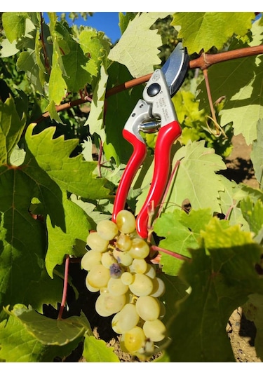 Kıng Tıger Budama Makası Kt-16-30416