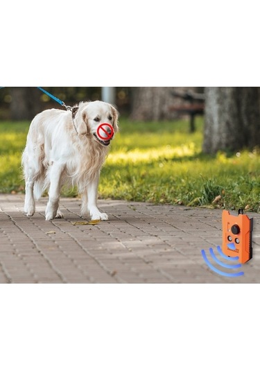 Lichen Ultrasonik Havlama Önleyici Havlama Önleyici Köpek