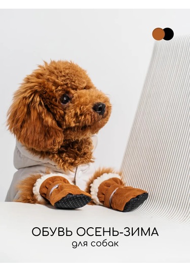 Petite Pets Küçük Ve Orta Boy Köpekler İçin Ayakkabı 270588346