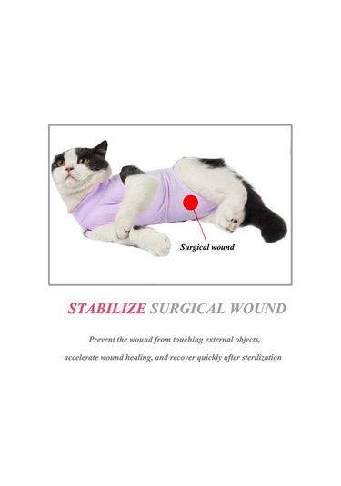 Hombey Kedi Ameliyat Sonrası Giysi, Yara Koruması, Yutma Engeli, Esnek Mesh Kumaş, Mavi S Beden