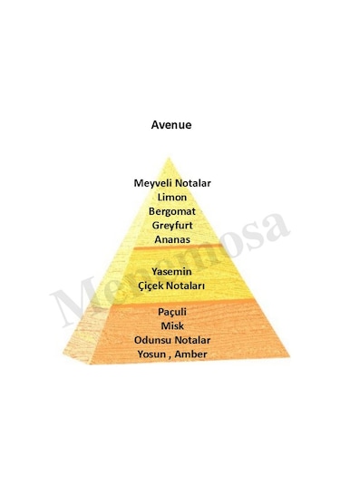 Avenue + Avenue Erkek Parfüm 50 Ml Edp Oriental - Mnms50ave2 Aromatik