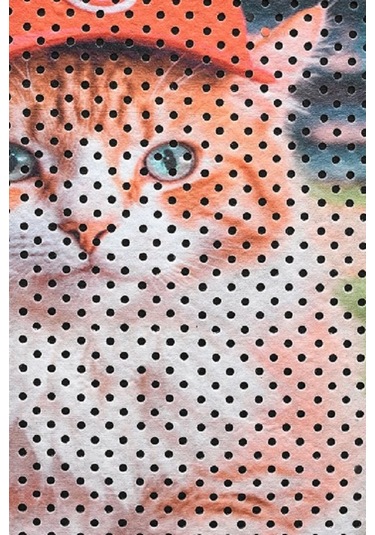 Kar Mat Kedi Tuvaleti Paspası Delikli Kedi Kumu Paspası Şapkalı