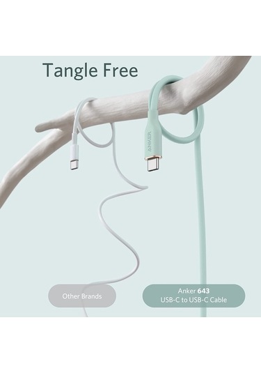 Flybuy Anker A8553 Powerline Iıı 1.8m Cilt Dostu Çift Tip-c Veri Kablosu Pd100w Hızlı Şarj, Siyah