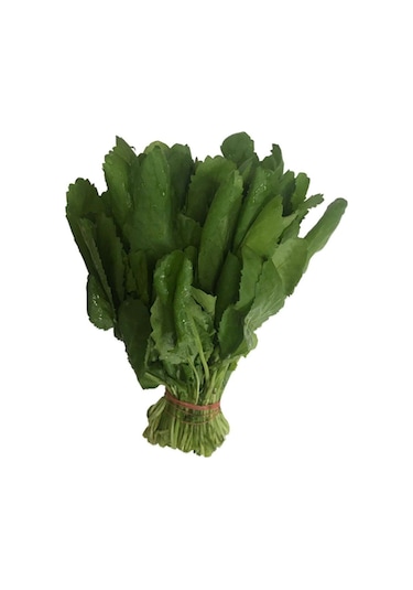 Geniş Yaprak Tere Tohumu Tohum