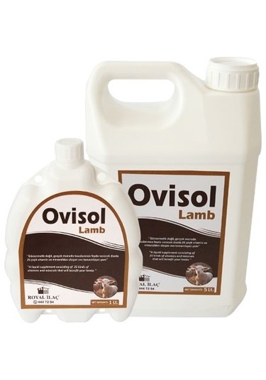 Royal İlaç Ovisol Lamb 5 Lt