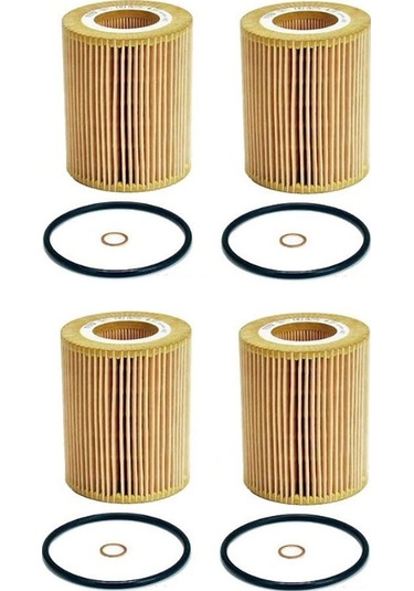 Crackedice Bmw E36 E39 E46 E53 E60 E83 320ı 4'lü Motor Yağı Filtresi Seti