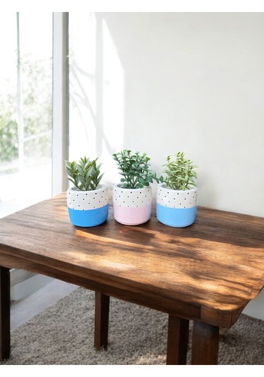 Renkli Saksı Seti Sukulent Kaktüs Dekoratif Eşya- Ev Dekorasyon - Saksı Seti 4