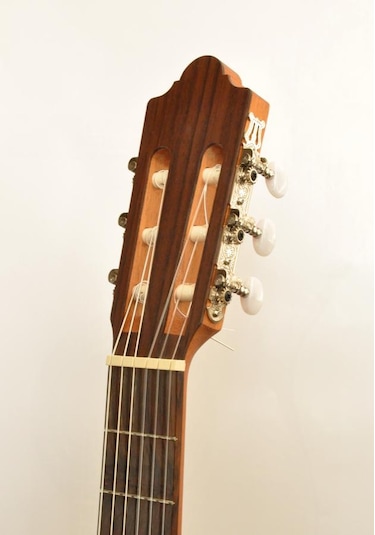 Camps Nac1 Eco Elektro Klasik Gitar Fıshman Classıc III