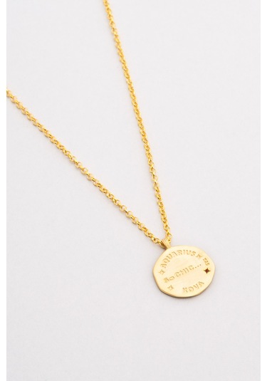 Kova Burcu 18 Ayar Sarı Altın Kaplama 45 Cm Gümüş Kolye Sarı