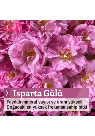 Akita Doğal Yağı Alınmamış Gül Suyu Cam Şişe 3 x 200 ML