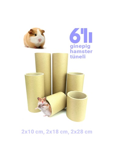 Vixpet Ginepig Hamster Kemirgen Kobay Tüneli 6'lı