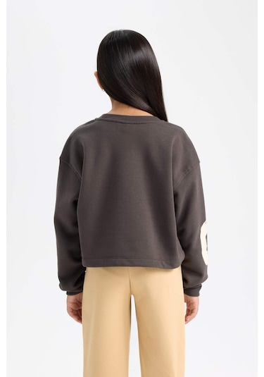 Defacto Kız Çocuk Bisiklet Yaka Baskılı Kalın Sweatshirt D2882a824wnar227 Antrasit Defacto Kız Çocuk Bisiklet Yaka Baskılı Kalın Sweatshirt D2882a824wnar227 Antrasit