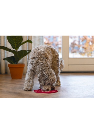 Beeztees Yavru Köpek Yaş Mama Yeme Oyuncağı, Sekizgen Şeklinde, Silikon, Pembe, 23x20cm