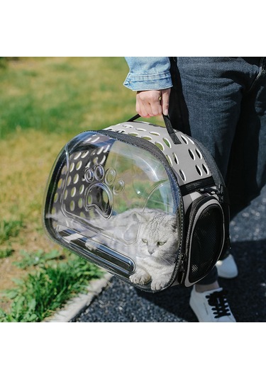 Homyl Kediler Seyahat Taşıyıcı Rahat Temiz 42cmx26cmx35cm