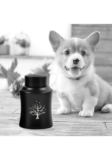 Homyl Pet Urn Kremasyon Hatıra Çömlekleri Kutusu Büyük Altın