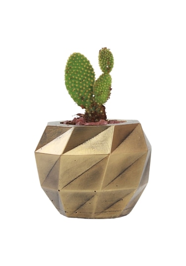 Çiçek Saksısı Dekoratif Kaktüs Saksı 1 Adet Dönen Poly Model - Altın Eskitme