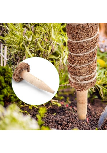Padalink Bitkisel Tüp İçin 30cm Yüksekliği Ayarlanabilir, Su Ve Besin Tutan, Dayanıklı Hindistan Cevizi Lifli Ve Ahşaplı Tırmanan Bitki Tutucu Seti
