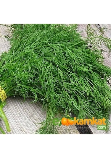 Dere Otu Tohumu Paket +25 GR Paket