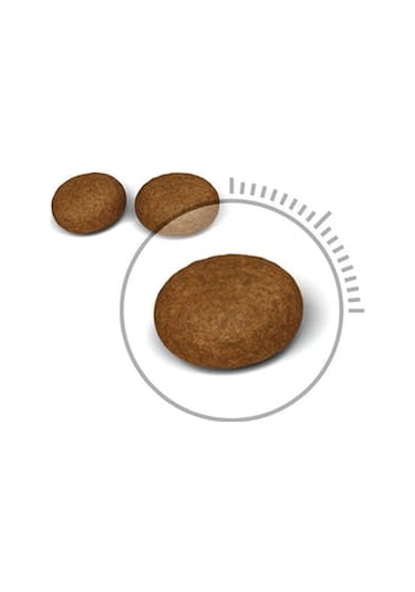 Royal Canin Hair Skin Hassas Tüylü Yetişkin Kedi Maması 2 KG