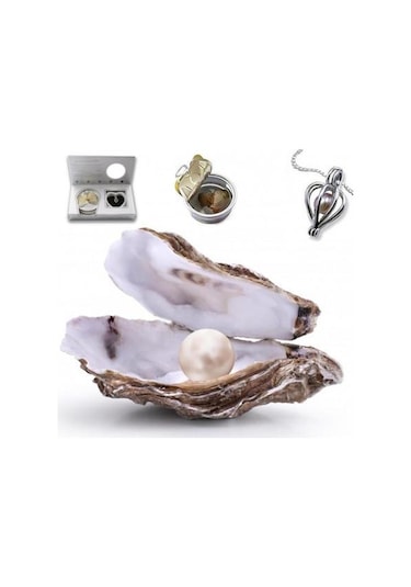 Istiridye Içinde Gerçek Inci Kolye (311674816)