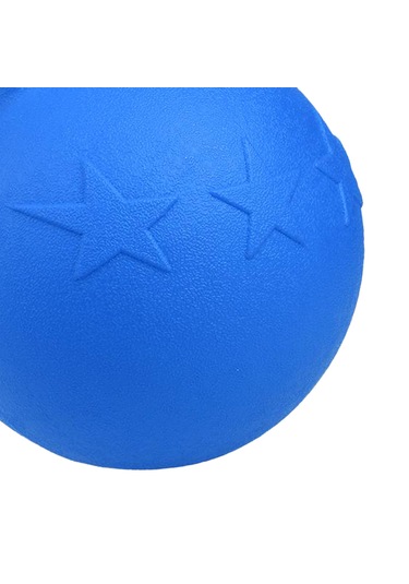 Homyl At Oyuncak Oyun Topu Meyve Kokulu Pet Joy Rastgele-renk Rastgele Renk