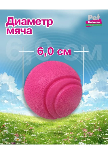 Pet Universe Köpekler İçin Dayanıklı Top Oyuncak 6 Cm 89 Gram Pu3052pk 198986249