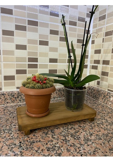 Apak Ahşap Çok Amaçlı Dekoratif Doğal Ahşap Tepsi