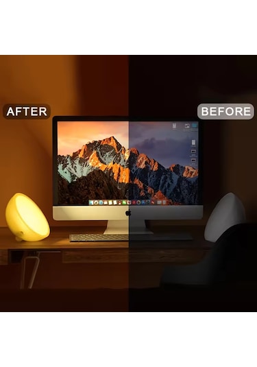 Ambians Go Taşınabilir Şarjlı Smart Küre
