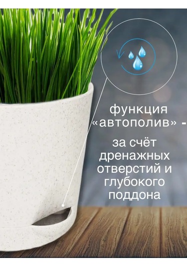 Interm Kaktüs, Menekşe, Çiçekler İçin Mini Saksı Ve Fide Kasesi 94877527