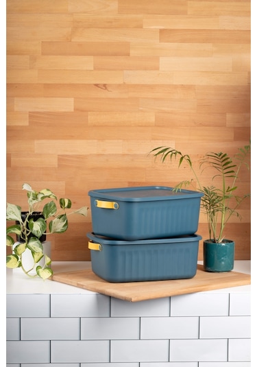 Finehome Boxy 2'li Çok Amaçlı Kutu 10lt Mavi