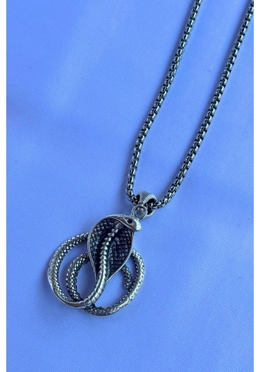Kobra Yılanı El İşçiliği Paslanmaz Çelik Zincir Erkek Kolye Gümüş
