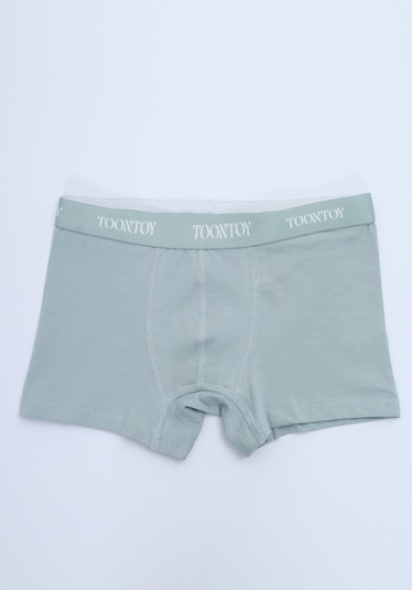 Toontoy Erkek Çocuk Kemer Yazı Baskılı 4lü Paket Boxer Çok Renkli