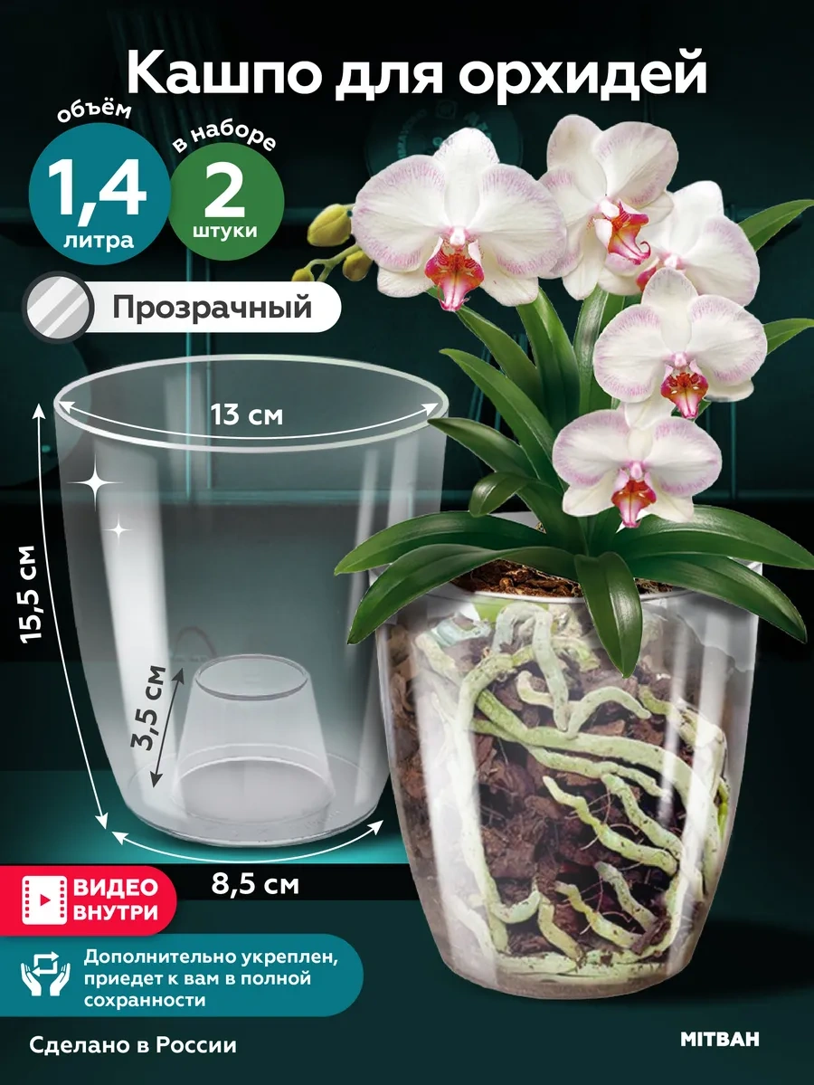 Mıtbah Şeffaf Saksı Orkide Saksısı 162371590