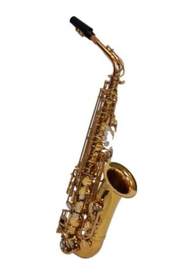 Bonson Xal1001 Gold Alto Saksafon Seti