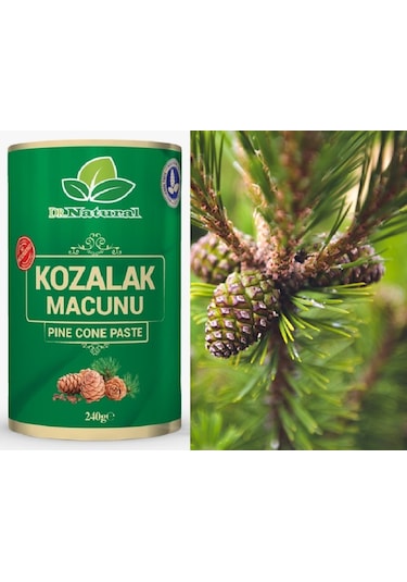 Dr. Natural Kozalak Macunu Çam Kozalağı Macun 240 G