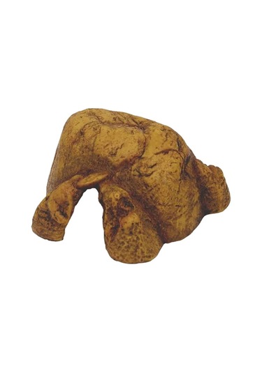 Exo Terra Sürüngen Mağarası Xxl