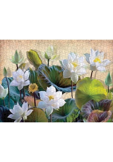 Nova Puzzle 1000 Parça Beyaz Nilüfer Çiçekleri Puzzle
