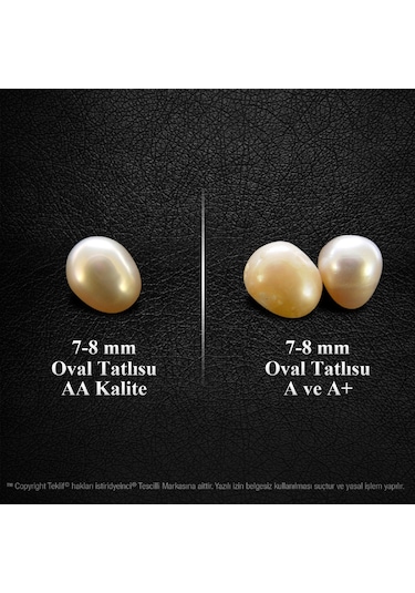 Okyanusun Esintisi Tatlı Su Incisi Kahverengi