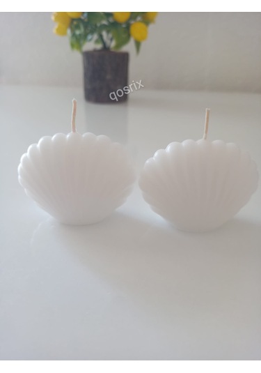 2'li Beyaz Mini Istiridye Deniz Kabuğu 1. Kalite Soya Doğal Mum