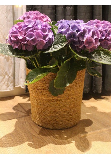 Hasır Silindir Sepet / Saksılık / Organizer / Düzenleyici Orta Boy