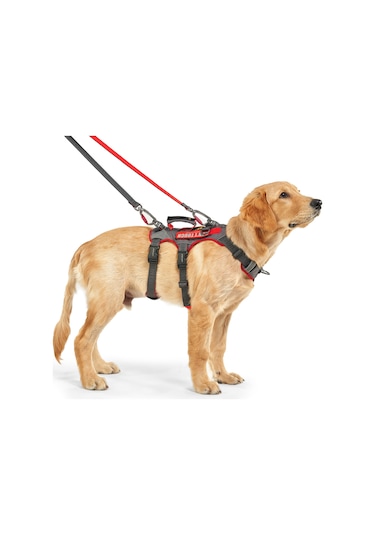 Interlaken Earthtech Slim 3.0 Köpek Göğüs Tasması Gri - Kırmızı L Gri - Kırmızı