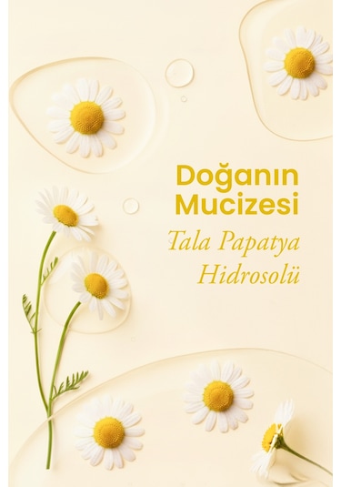 Tala Papatya Suyu %100 Saf Ve Doğal Rahatlatıcı Ve Nemlendirici Tonik Papatya Hidrosolü 100 ML