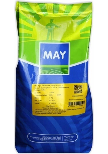 Sofia Sırık Çalı Fasulye Tohumu 2 Kg