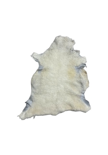 Naturel Gerçek Koyun Postu Doğal Beyaz Kısa Tüylü 70x45 Cm