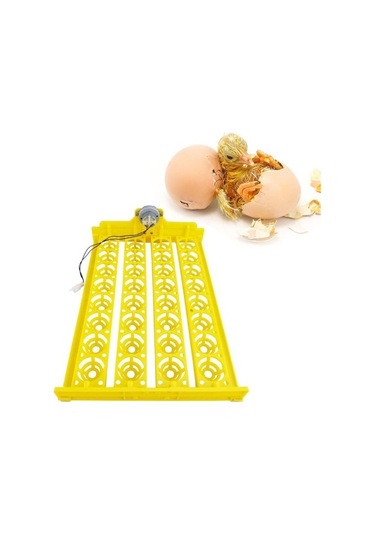 Pazly Yumurta Yumurta Turner Tavuk Suntek Otomatik Makinesi Kuluçka Fr