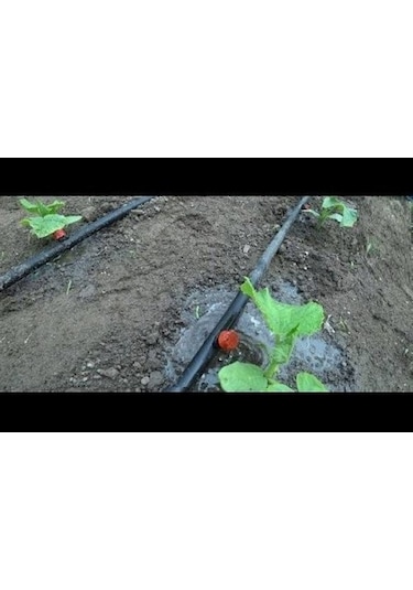 300 Mt Deliksiz Düz Damlama Sulama Sistemi Bahçe Ve Ek Parçaları