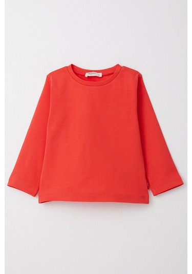 Breeze Erkek Çocuk Uzun Kollu Tişört Basic 1-4 Yaş, Narçiçeği-narçiçeği Narçiçeği